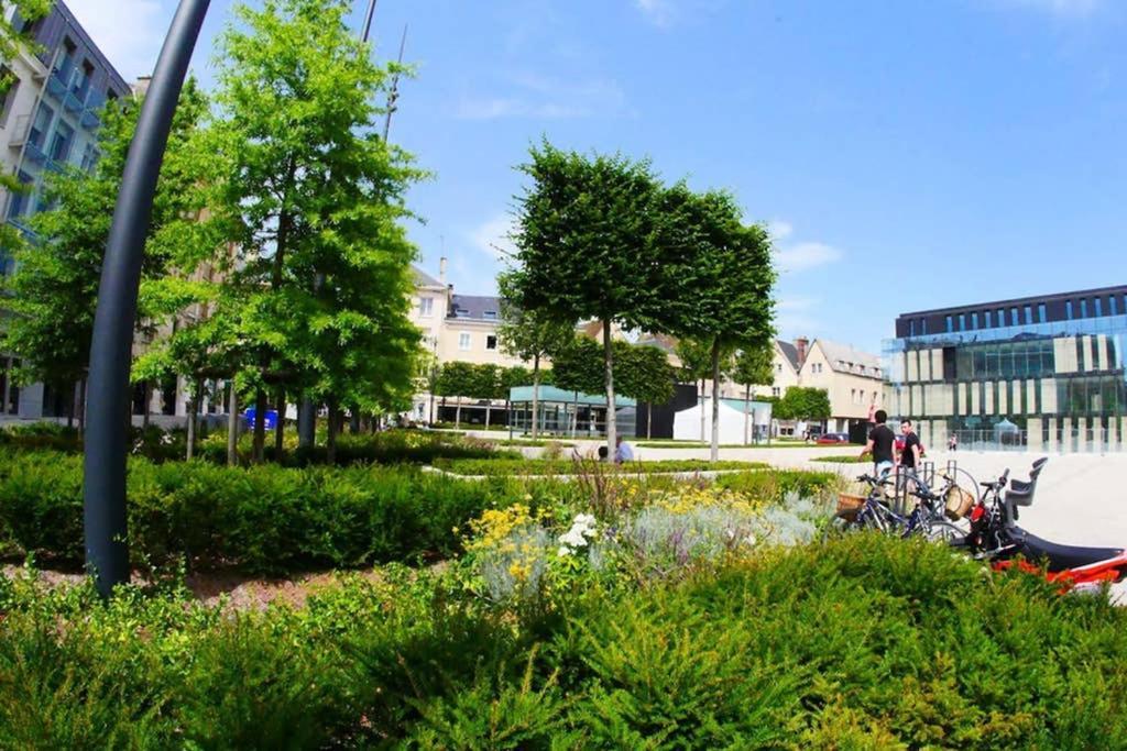 Chartres Coeur De Ville, Beau 2 Pieces Chaleureux Et Lumineux,Parking Et Wifi ! ภายนอก รูปภาพ